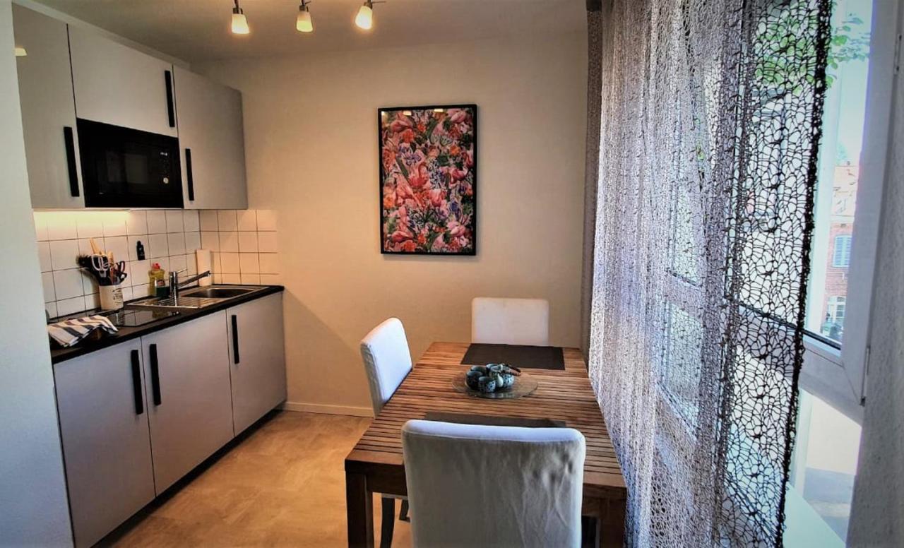 Deluxe Apartment Flamingo In Paradise Фрайбург Екстериор снимка